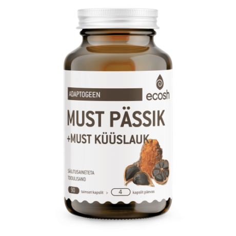 mustpassik-translate-500×500-1.png